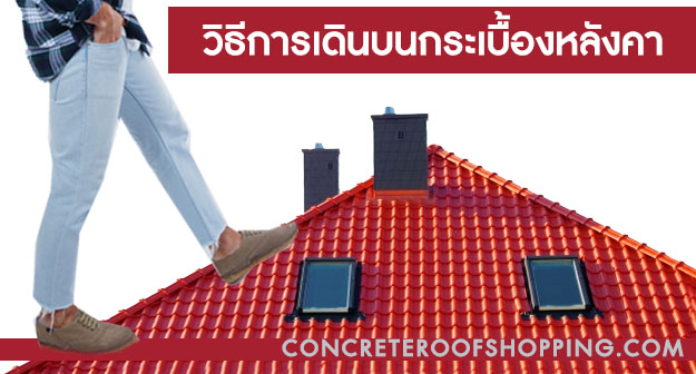 เดินบนกระเบื้องหลังคา